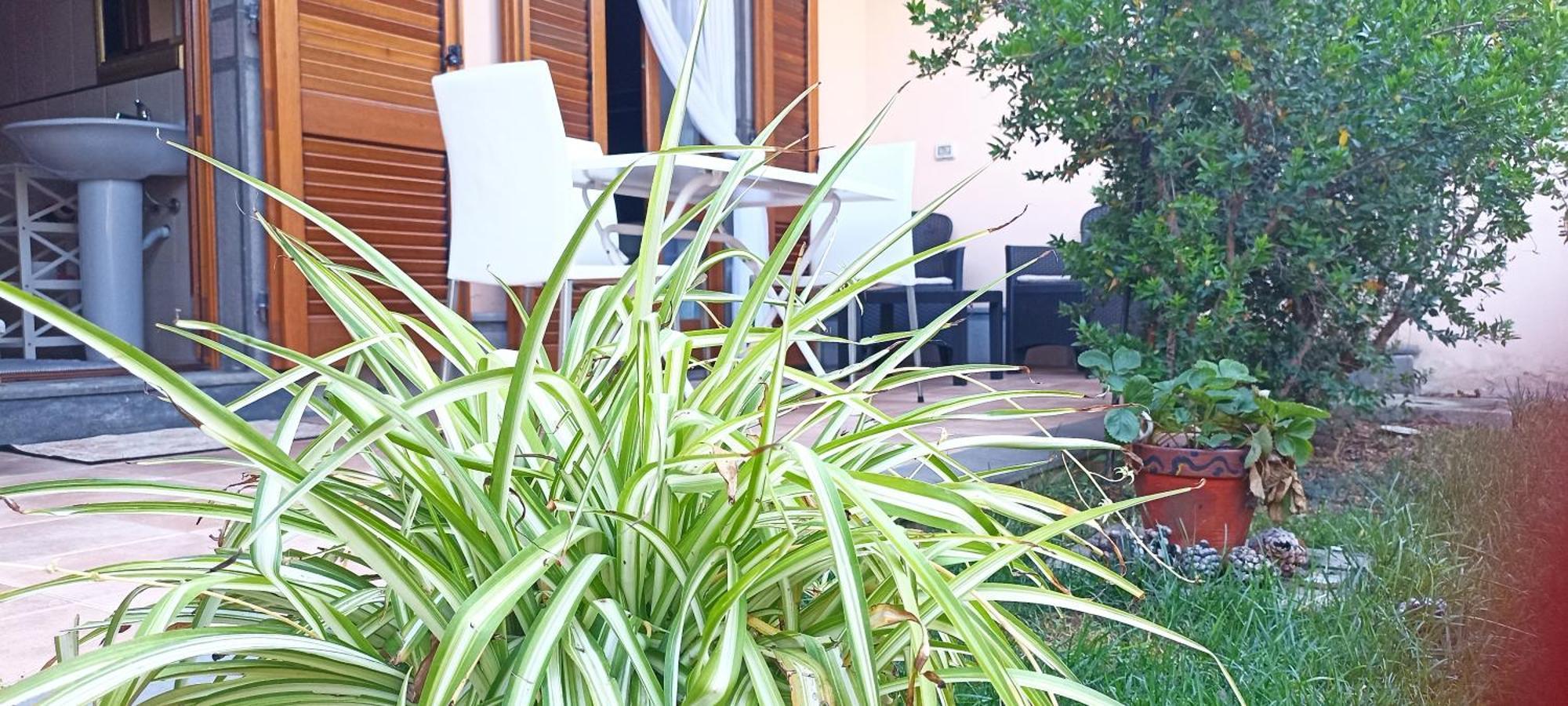 Casa Lilla 1 E 2 Lägenhet Oristano Exteriör bild
